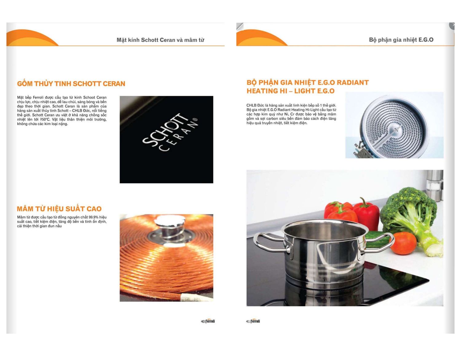 Máy nóng lạnh FERROLI Catalogue và Bảng giá mới nhất /Page 21